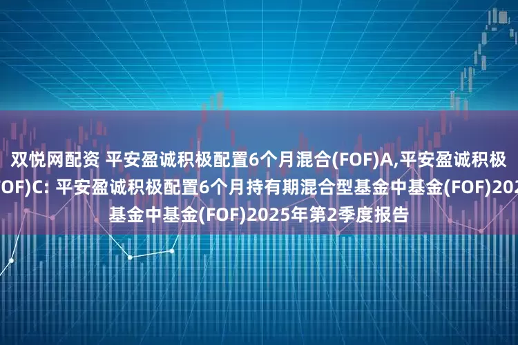 双悦网配资 平安盈诚积极配置6个月混合(FOF)A,平安盈诚积极配置6个月混合(FOF)C: 平安盈诚积极配置6个月持有期混合型基金中基金(FOF)2025年第2季度报告