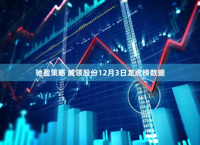 驰盈策略 威领股份12月3日龙虎榜数据